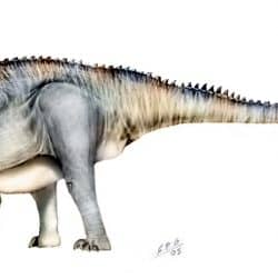 Apatosaurus by Sergio Perez