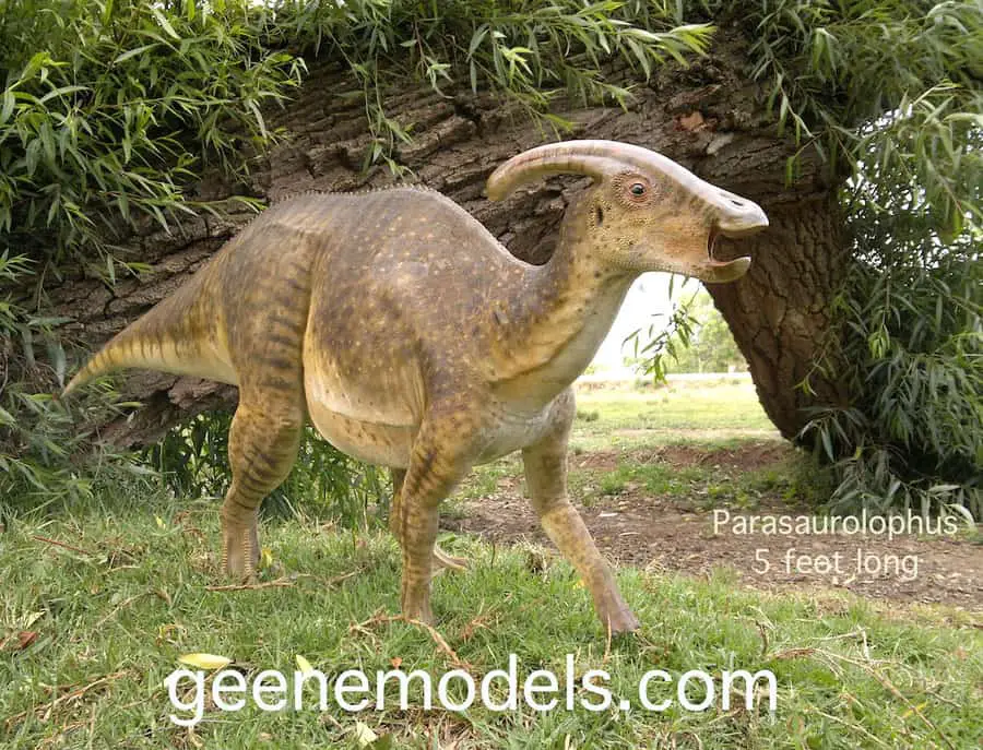 Parasaurolophus by Galileo Nunez