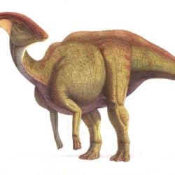 Parasaurolophus by Saul Velasco Martel