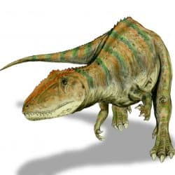 Carcharodontosaurus by Nobu Tamura