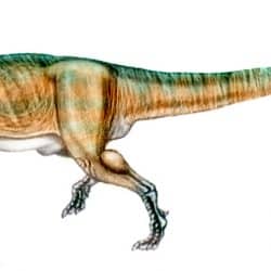 Carcharodontosaurus by Sergio Perez