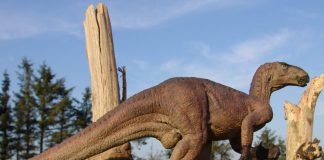 Iguanodon by Spike Ekins