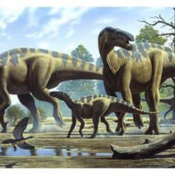 Iguanodon by Raul Martin