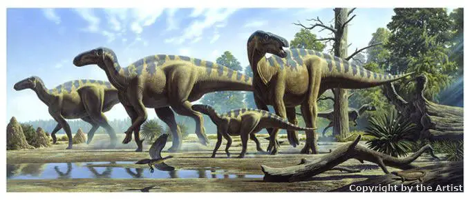 Iguanodon by Raul Martin