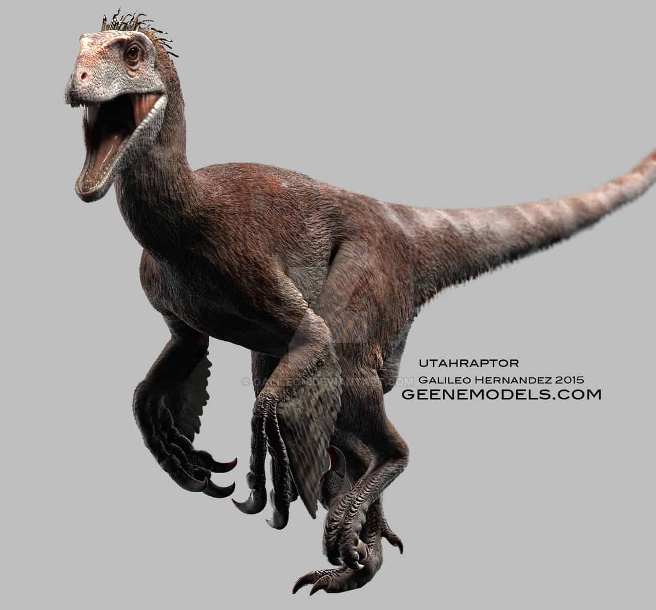 Utahraptor | Dinosaurs - Pictures and Facts