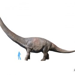 Dreadnoughtus by Nobu Tamura
