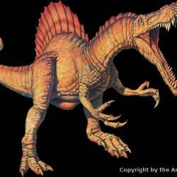 Spinosaurus by Joe Tucciarone