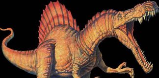 Spinosaurus by Joe Tucciarone