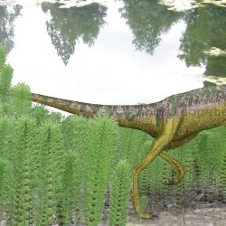 Compsognathus by Peter Montgomery