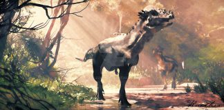 Pachycephalosaurus by Jk