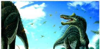 Spinosaurus by Juanjo Castellano
