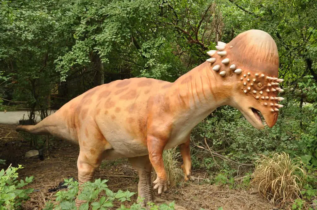 Pachycephalosaurus by Ricky Beckett