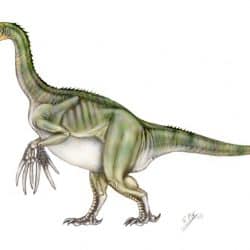Therizinosaurus by Sergio Perez