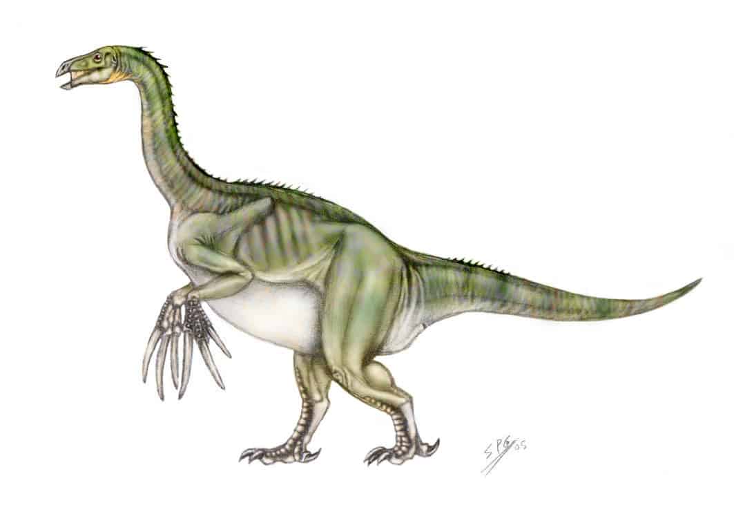 Therizinosaurus by Sergio Perez