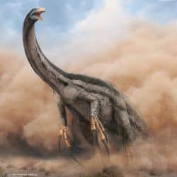 Therizinosaurus by Vlad Konstantinov