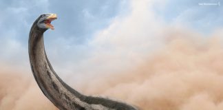 Therizinosaurus by Vlad Konstantinov
