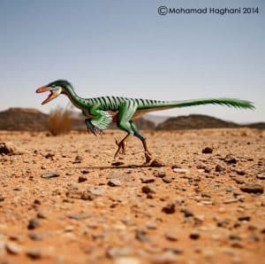 Troodon Dinosaur