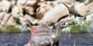 Spinosaurus by Nobu Tamura