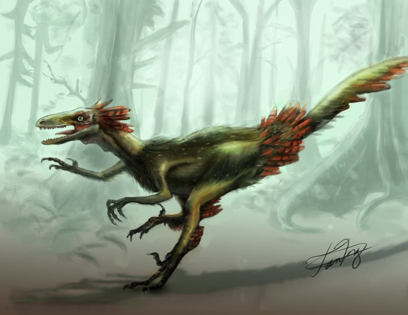 troodon pictures