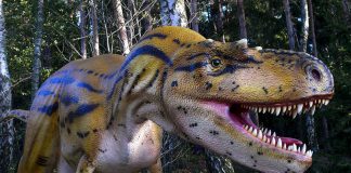 Albertosaurus by Jasper Nijenhuis