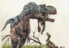 Albertosaurus by Steve White