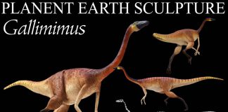 Gallimimus by Keith-Strasser