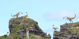 Gallimimus by Maxwell Schultz