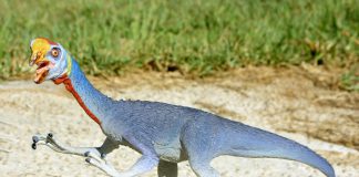 Oviraptor by Zero_Sen
