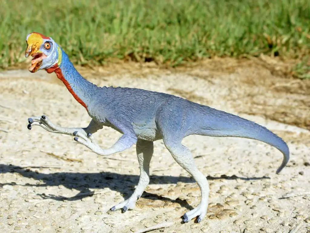 Oviraptor | Dinosaurs - Pictures and Facts