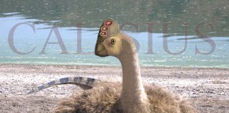 Oviraptor by Lex