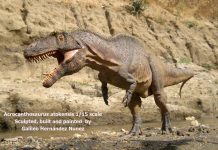 Acrocanthosaurus by Galileo Nunez