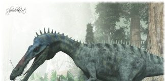 Suchomimus by Andreas