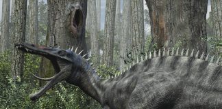 Suchomimus by Paul Harper