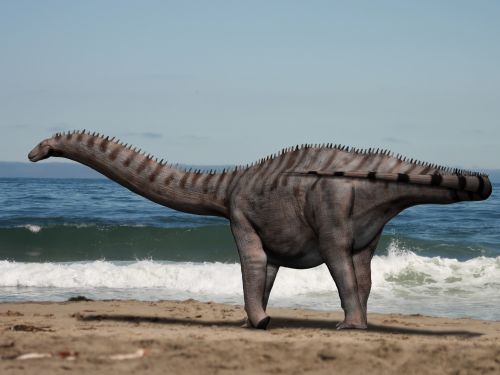 Brontosaurus by Nobu Tamura