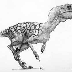 Velociraptor by Julius Csotonyi