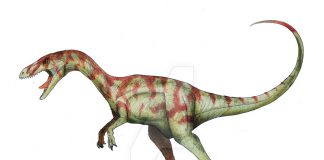 Coelophysis by Camus Altamirano
