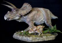 Torosaurus by Martin Garratt