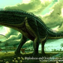 Brontosaurus by Juanjo Castellano