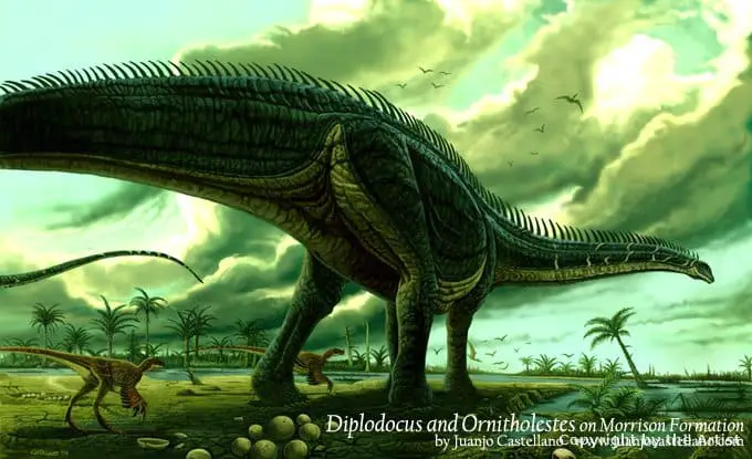 Brontosaurus by Juanjo Castellano