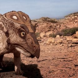 Protoceratops by Vlad Konstantinov