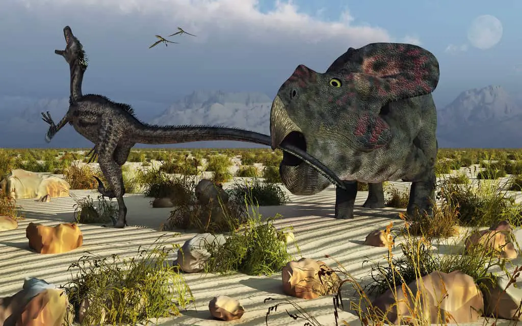 Protoceratops by Mark A Stevenson