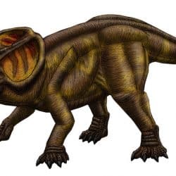 Protoceratops by Jose Vitor E. Da Silva
