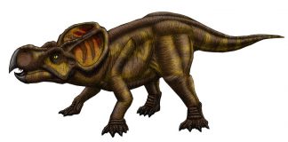 Protoceratops by Jose Vitor E. Da Silva