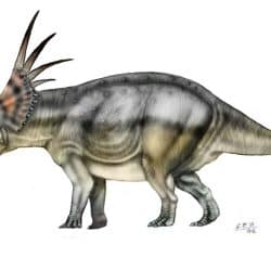 Styracosaurus by Sergio Perez