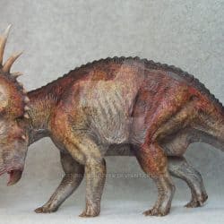 Styracosaurus by Joe