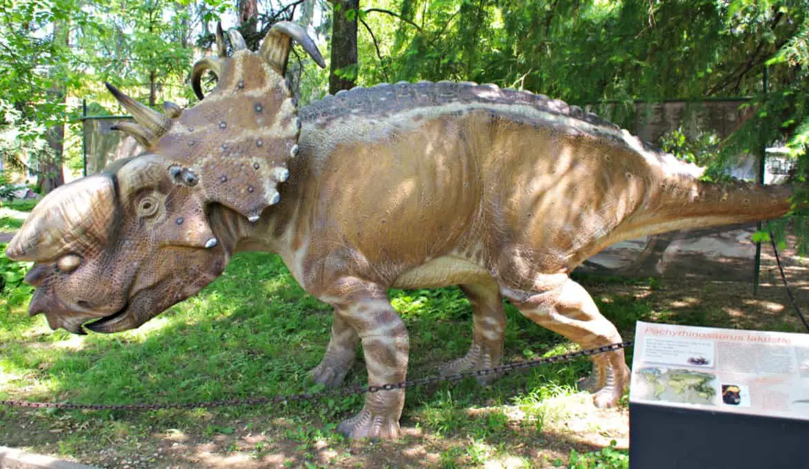 Pachyrhinosaurus by Lynus