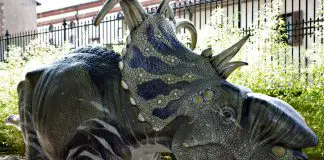 Pachyrhinosaurus by Lynus