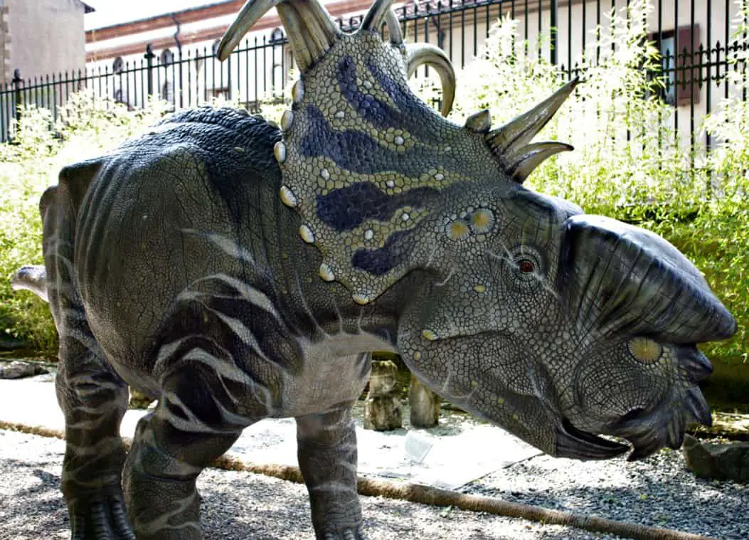 Pachyrhinosaurus by Lynus