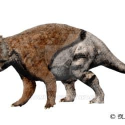 Pachyrhinosaurus by Nobu Tamura