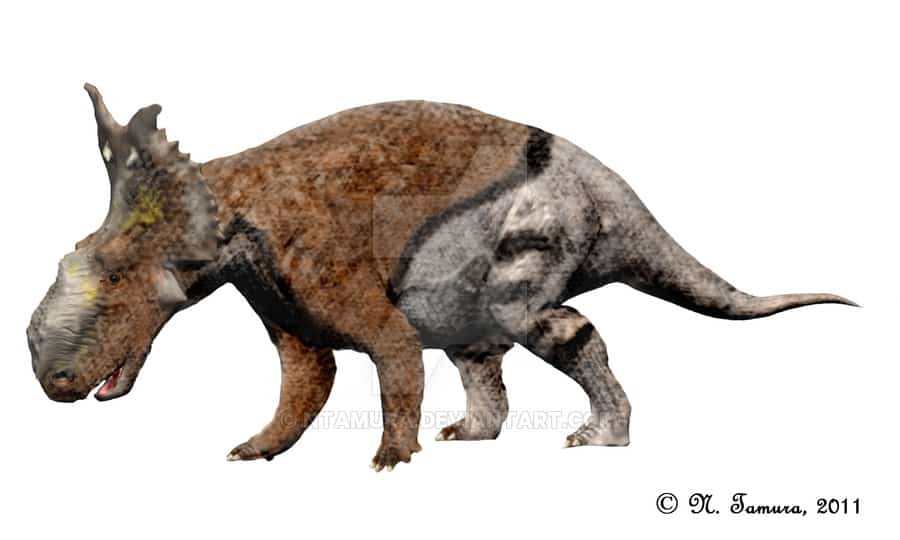 Pachyrhinosaurus by Nobu Tamura